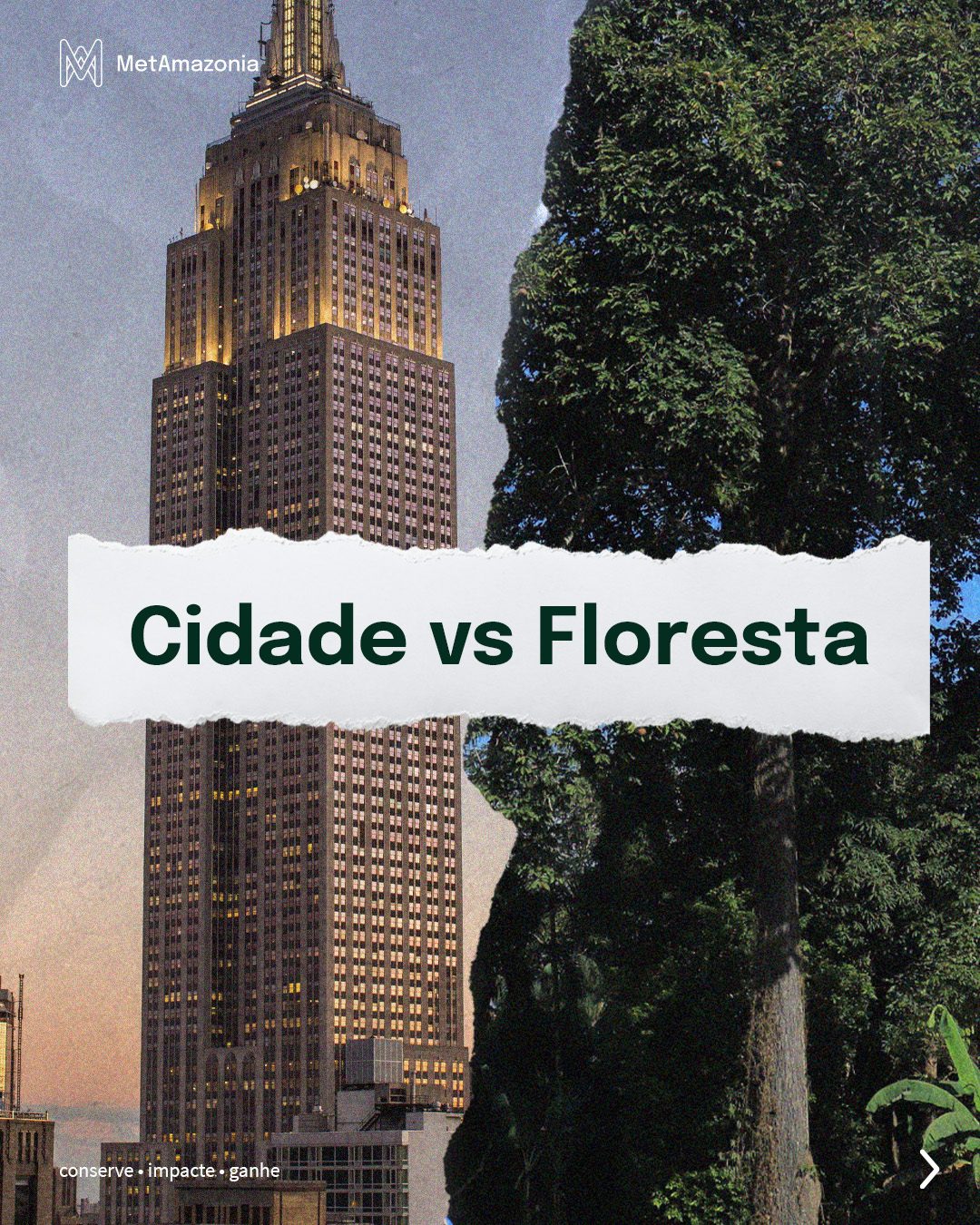 Cidade vs Floresta 1