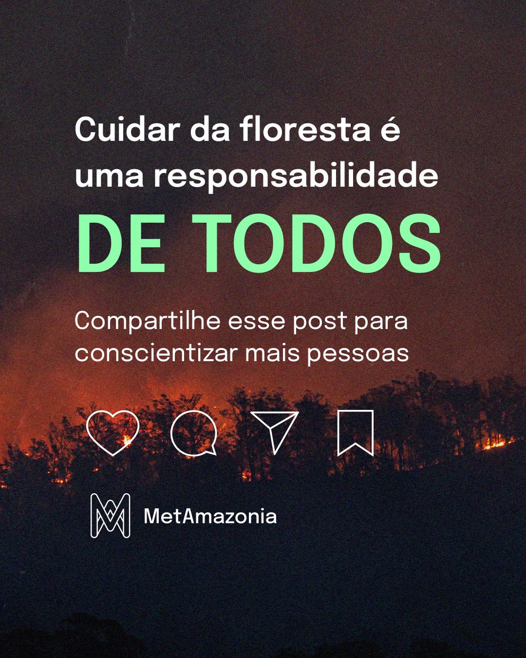 Cidade vs Floresta 5