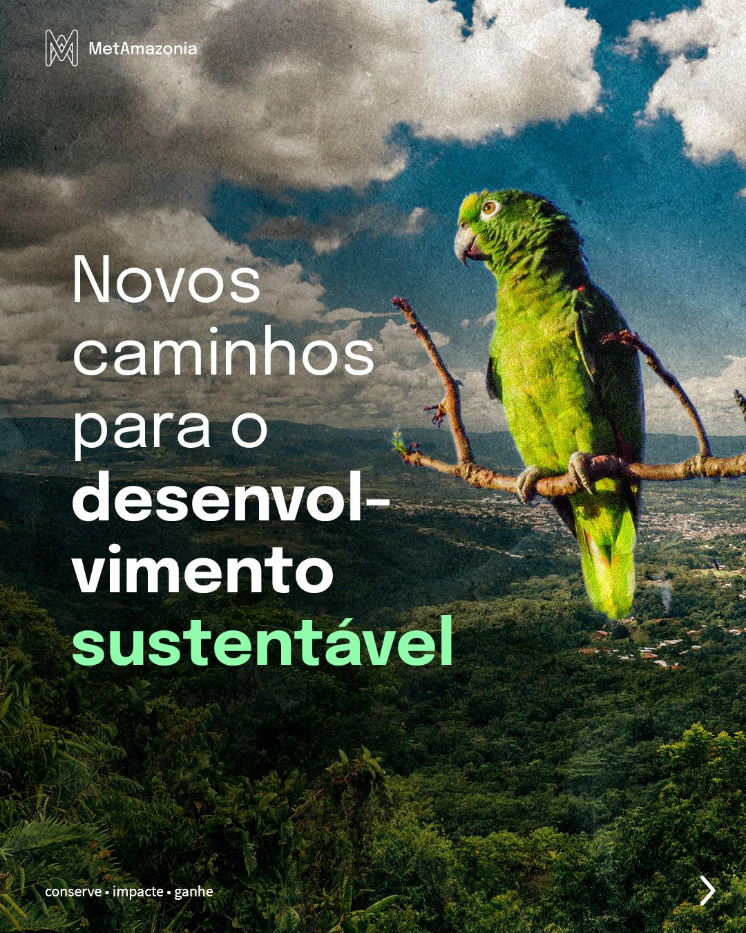 Como o metaverso pode contribuir para o meio ambiente 1