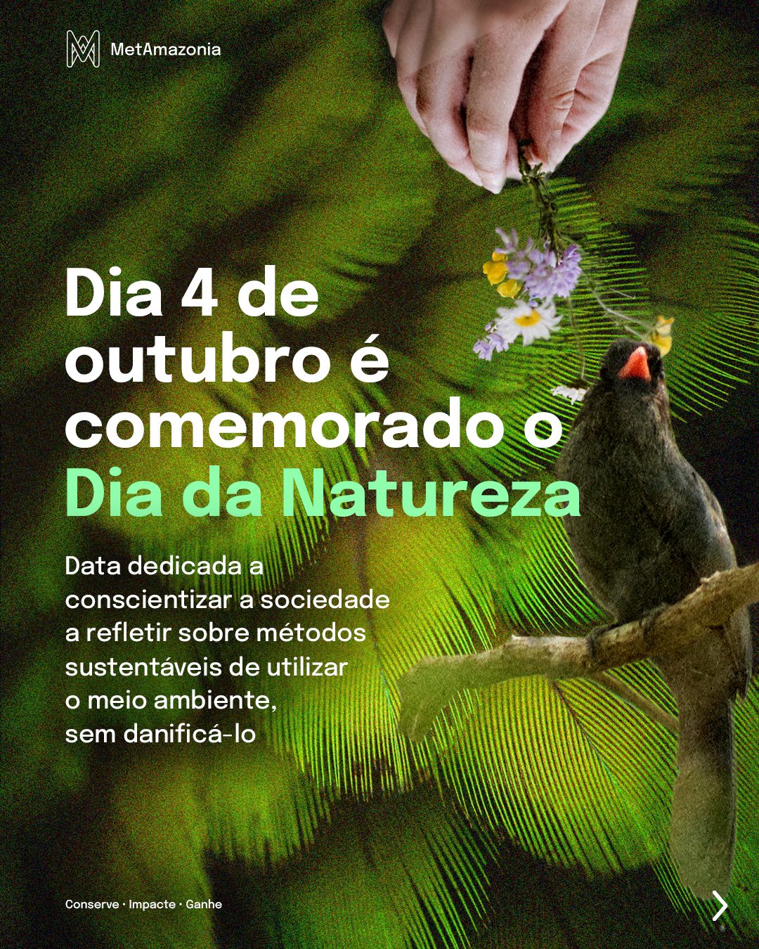Tela 1